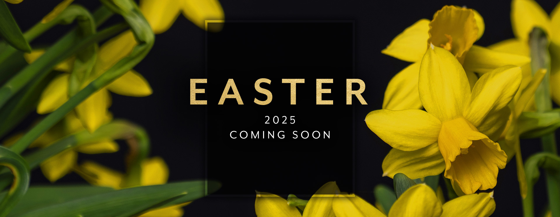 Easter 2025 in Milton Keynes The Black Horse